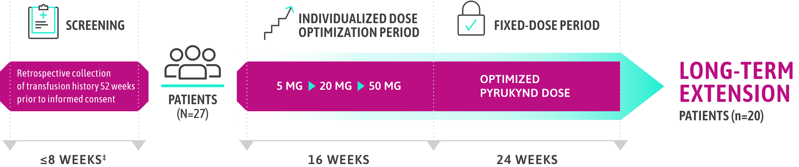 chart illustrating the ACTIVATE-T study design, from screening, to individualized dose optimization period, to fixed-dose period, ending with long-term extension